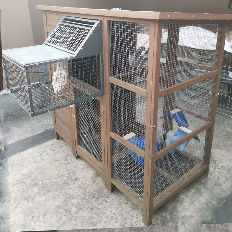 Bird Cage Domestic Combined Br - Sustainable Living House ulasan dan harga